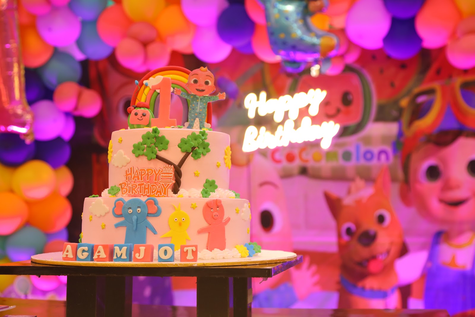 Decorated birthday cake photographed at an event